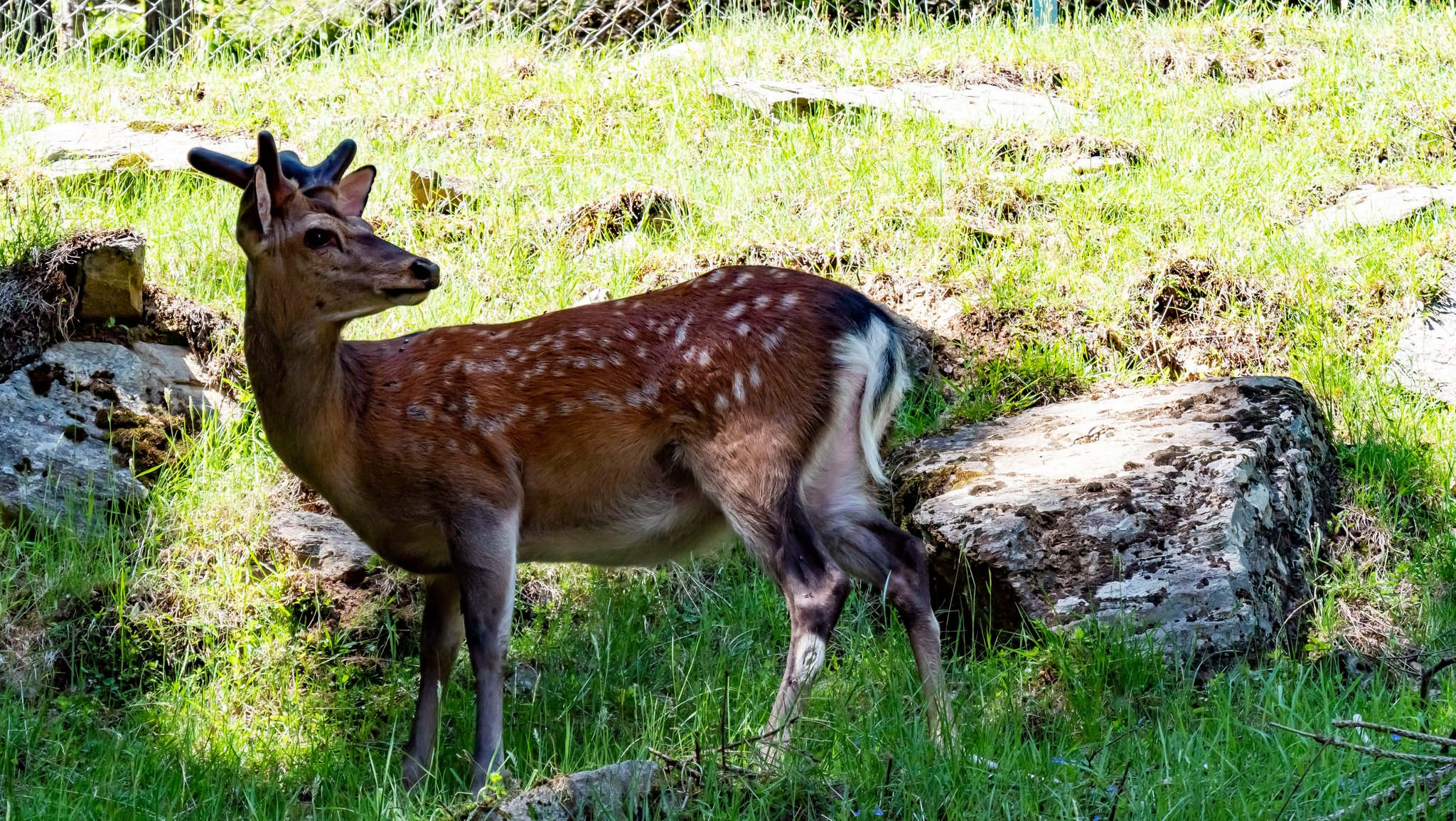 Infographic showing statistics about vandalism incidents across urban areas