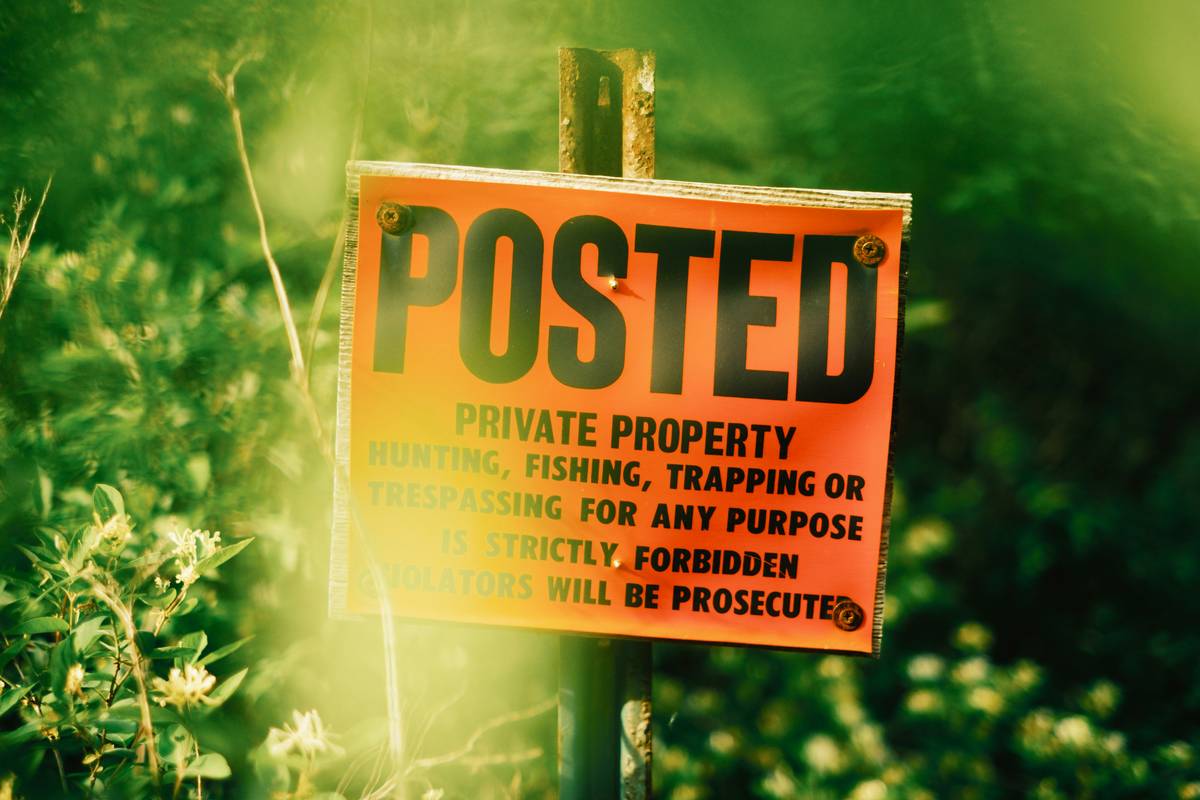 Insurance Fraud Prevention Vandalism: How to Protect Your Finances and Property