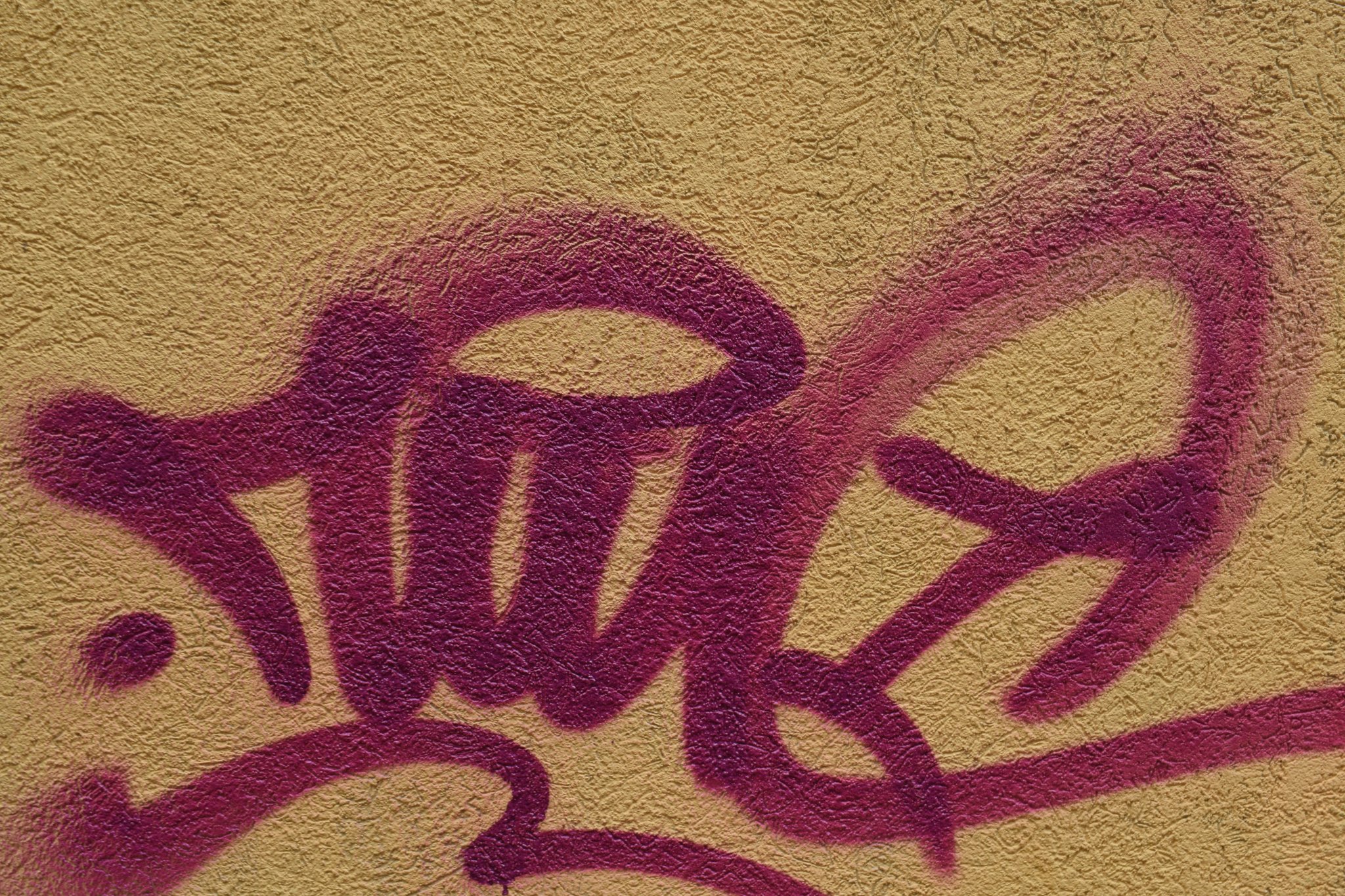 Outdoor security light mounted on a wall