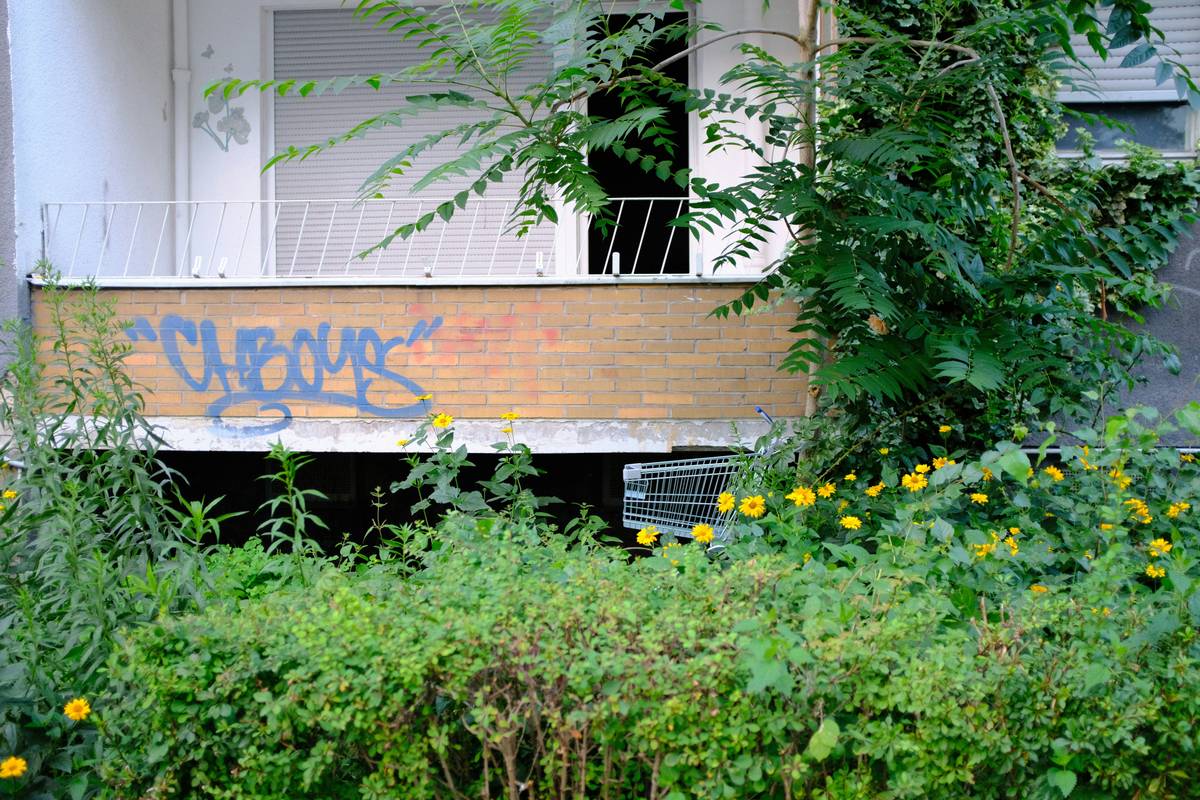 All-Risk Vandalism Property Cover: Protect Your Assets Like a Pro