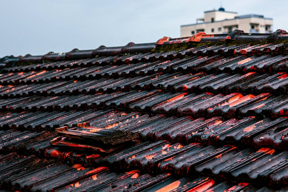 Does Your Home Insurance Cover Roof Repair Vandalism Coverage? Here’s What You *Actually* Need to Know