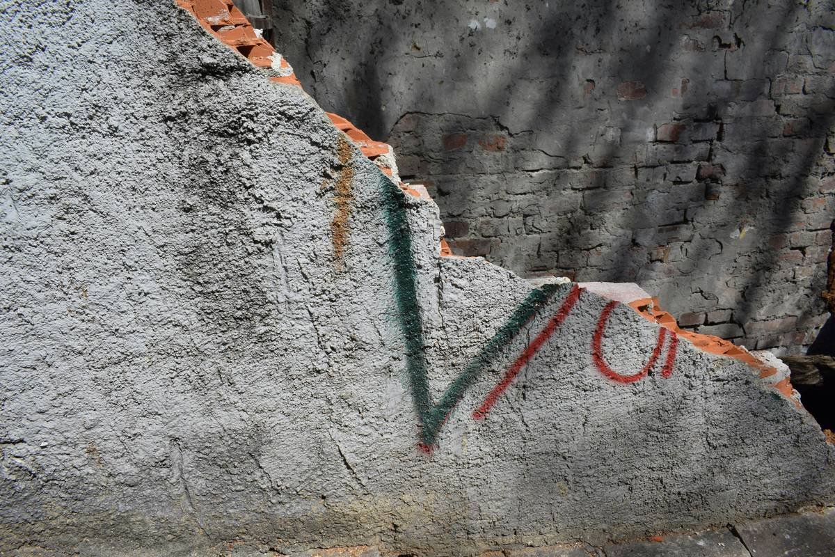 graffiti on the side of a building near a tree