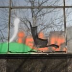 How to Handle Physical Damages Caused by Vandalism: A No-BS Guide for Property Owners